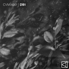 CVMIX001 - DB1