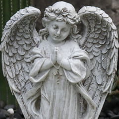 Stoicism in Calamity