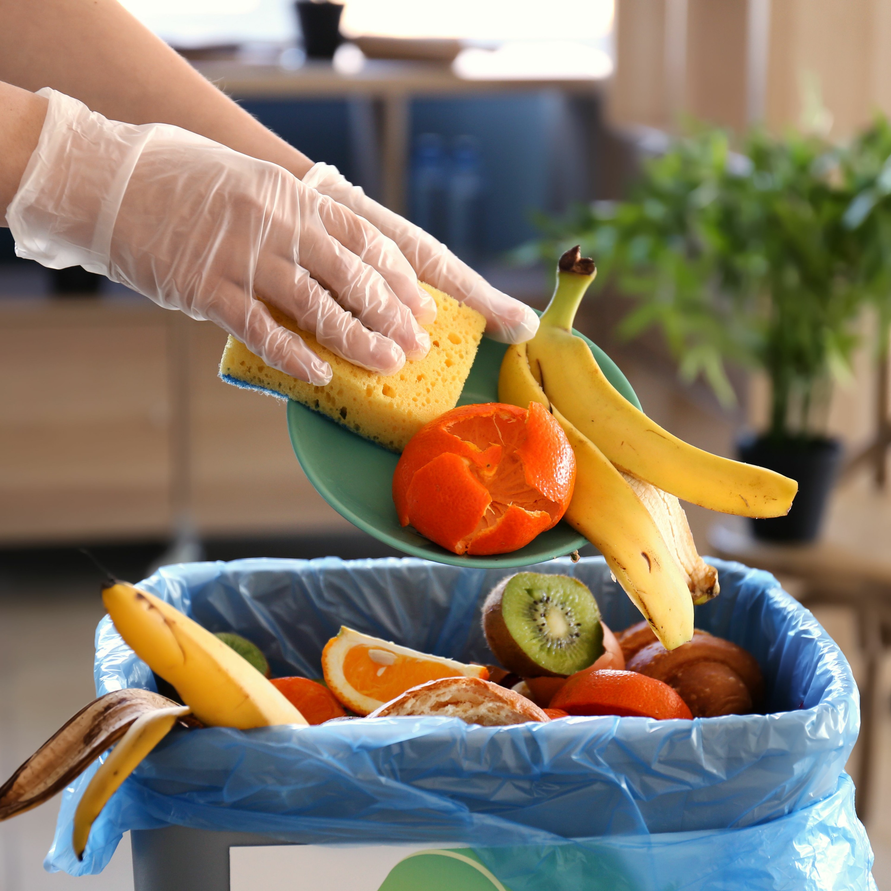 Why do we toss 33% of food we produce when people are hungry? episode artwork