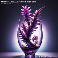 Taylor Marcellus ft. Rosie Robinson - Wait For Me (Bandcamp Exclusive)