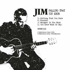 JIM - Falling That You Know EP SAMPLER [NUNS031]