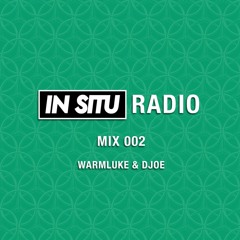 In Situ Radio 002 - DJoe & Warmluke