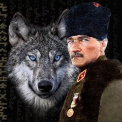 Tanrı Türkü Korusun.