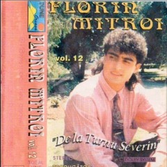 FLORIN MITROI - VINO ÎN BRAȚELE MELE (1996)