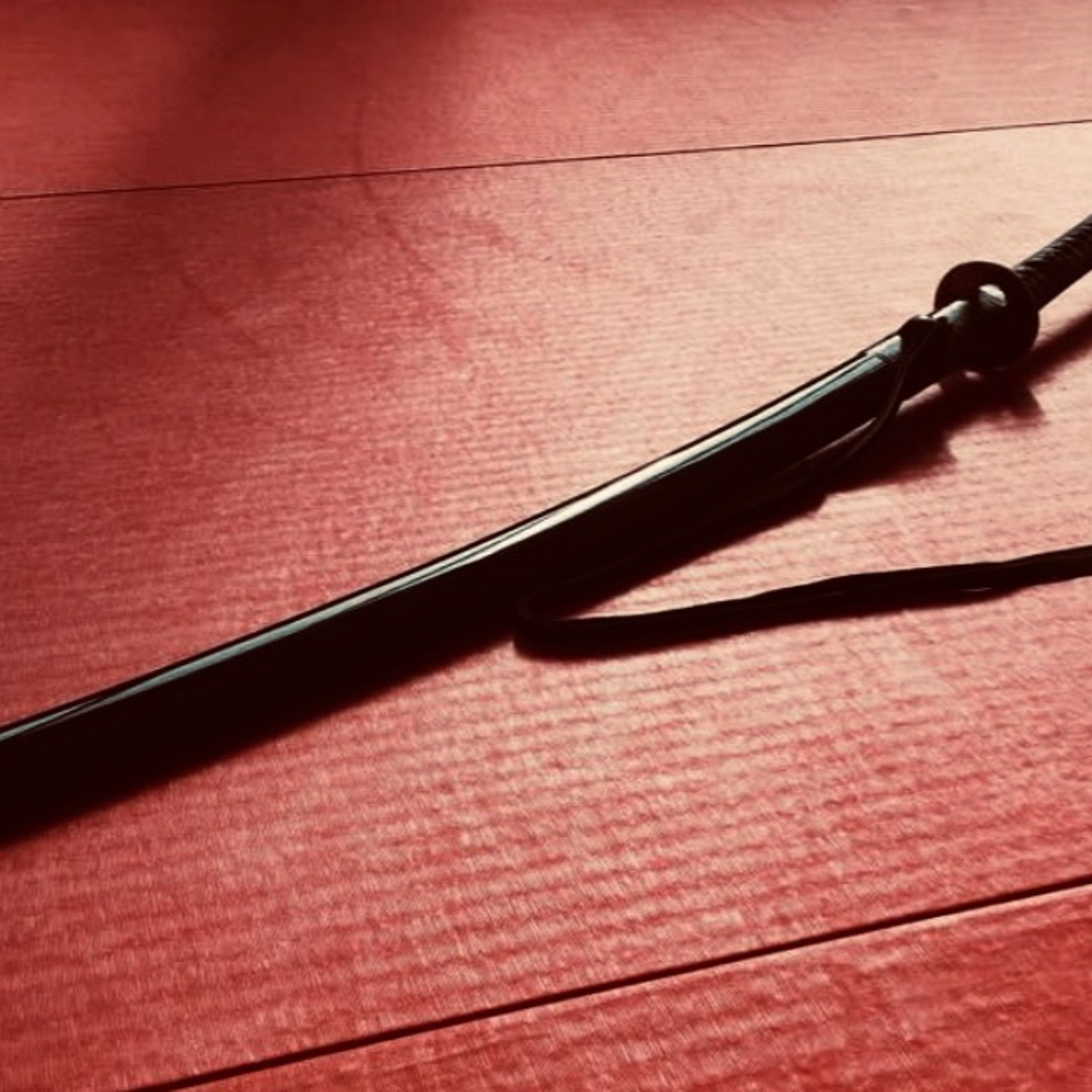 MEDYTACJA__perspektywa lekarza medycyny & nidan Aikido Birankai.
