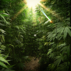 Drake - Hold On We’re Going Home (Reggae Remix) BEST VERSION