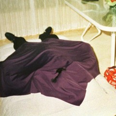 P$C - LEAVEMEALONE (509EP)