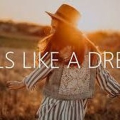 Feels - Like A Dream