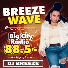 BREEZE WAVE Recorded Show
