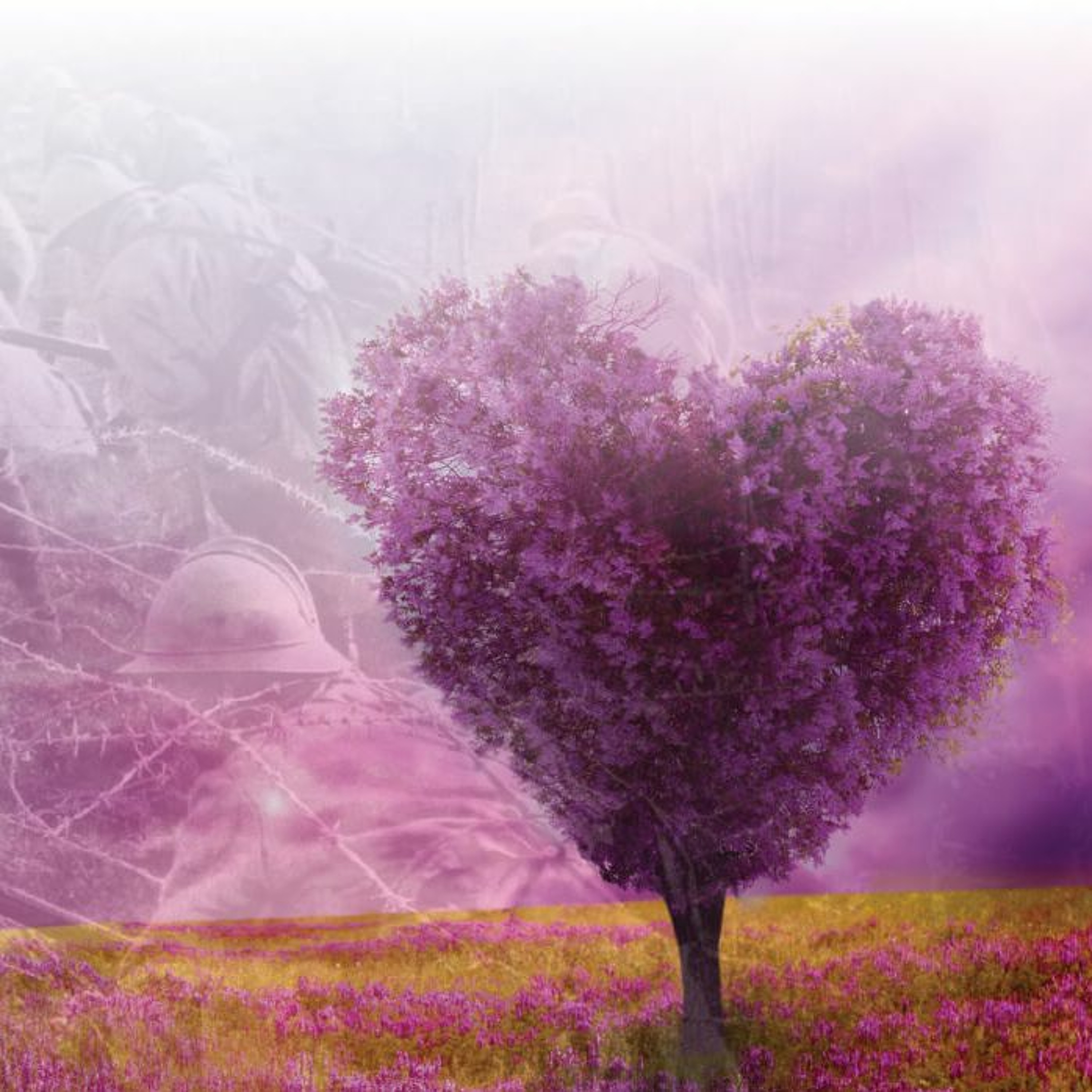 REFLECTION Love your enemies episode artwork