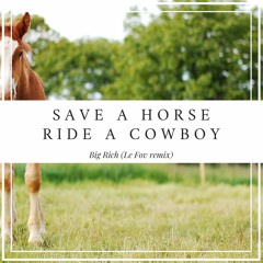 Big Rich - Save a horse (ride a cowboy) (Le Fov Remix)