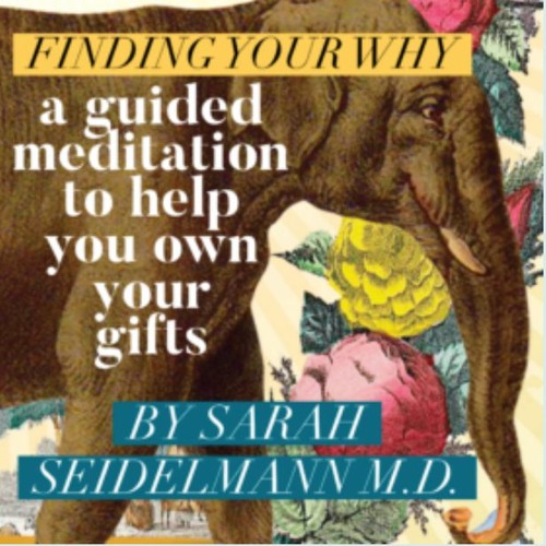 Sarah Seidelmann Guided Meditation "FINDING YOUR WHY"