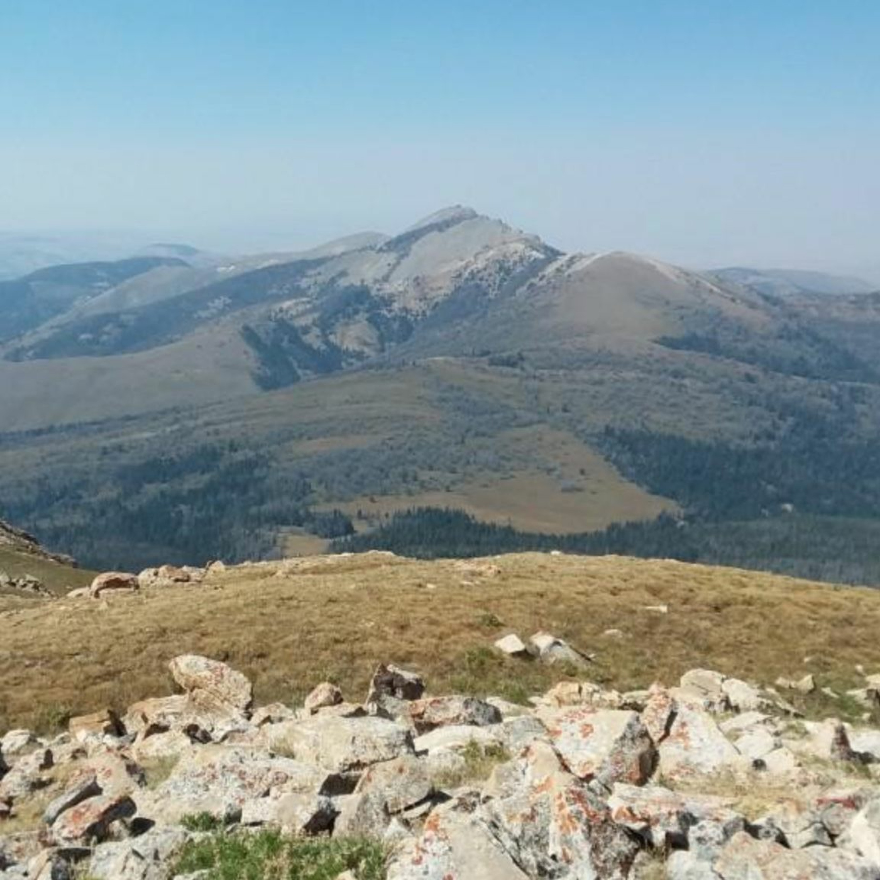 Trail of the Week