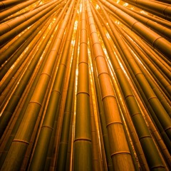 O Florescer Do Bambu Japonês  Um Mistério Com Consequências