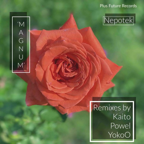 Premiere: Nepotek - Magnum (YokoO's Defragmentation) [Plus Future Records]