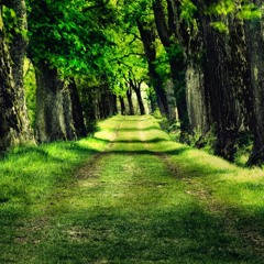 albañil greenwood albañil maguire albañil maynard albañil silva background full FREE DOWNLOAD