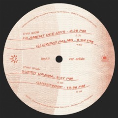 Premiere: Glowing Palms - 6:04 P.M. [Filament]