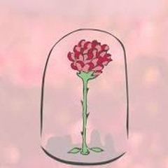 3. Rose of Pure Righteousness