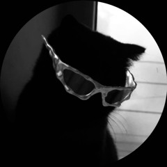 VVS AllStar !! [2025](never released)(revision)