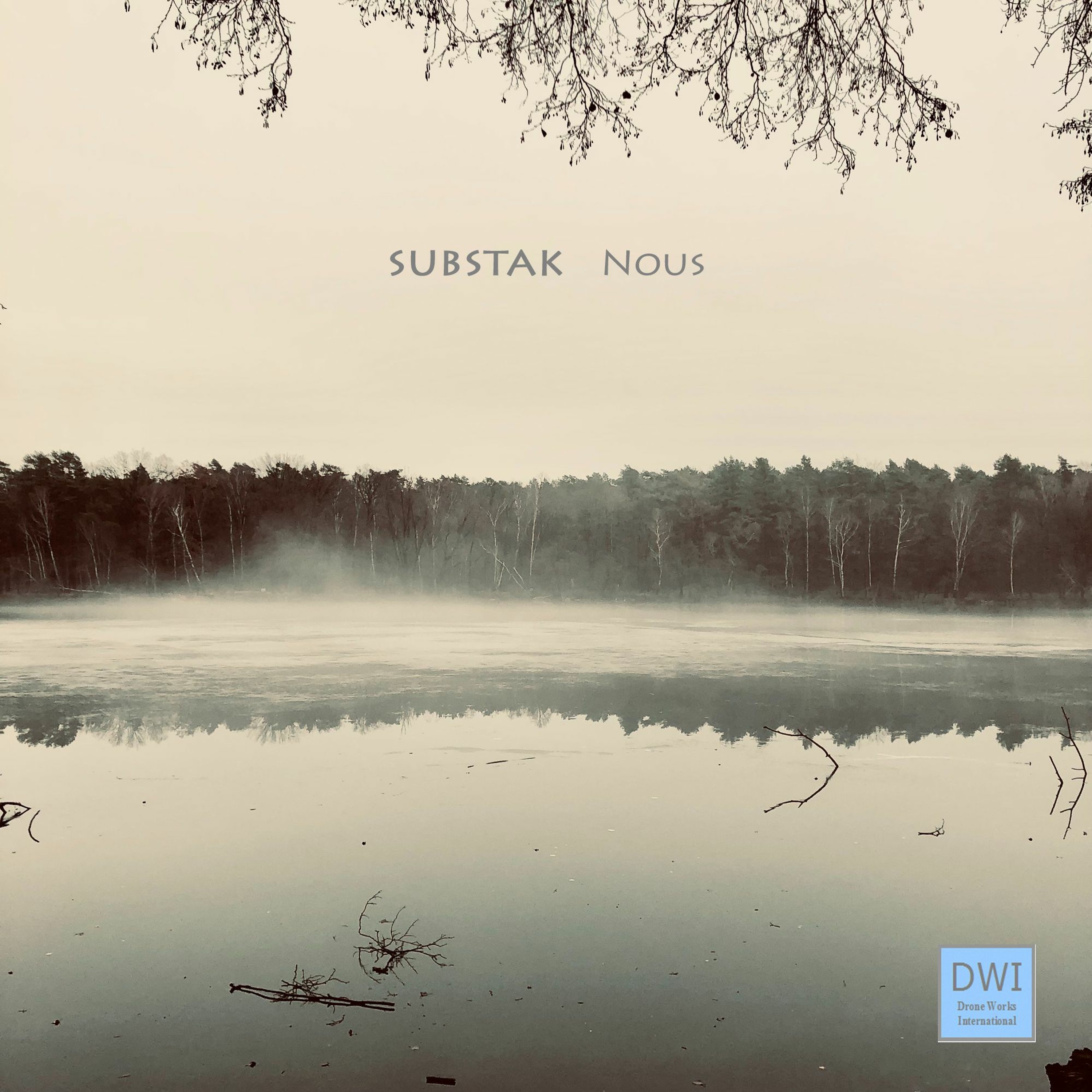 Drone Works International