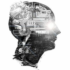 -Distor'brain-