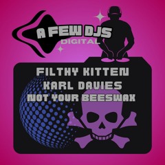 Filthy Kitten & Karl Davies - Not Your Beeswax (Soundcloud Clip)