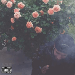 Ohsea - Mack