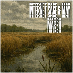 INTERNET SAGE & MAY - MARSH