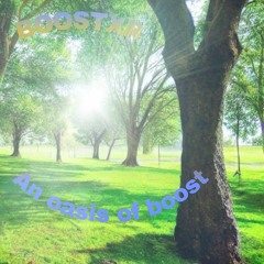 the oasis of the boost
