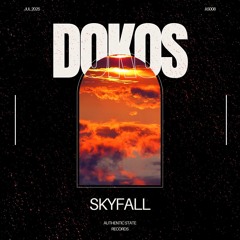 Skyfall (Extended Mix)