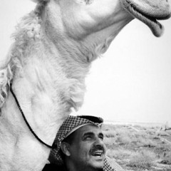 ‎⁨ضيدان بن قضعان | سوّ ما يرضي غرورك وأد ما تهوى أداءه ‏الحشا لك بيت حاتم وأنت غالي عند غالي⁩