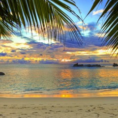 New  top background FREE DOWNLOAD