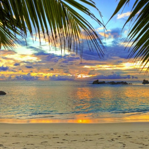 New  top background FREE DOWNLOAD