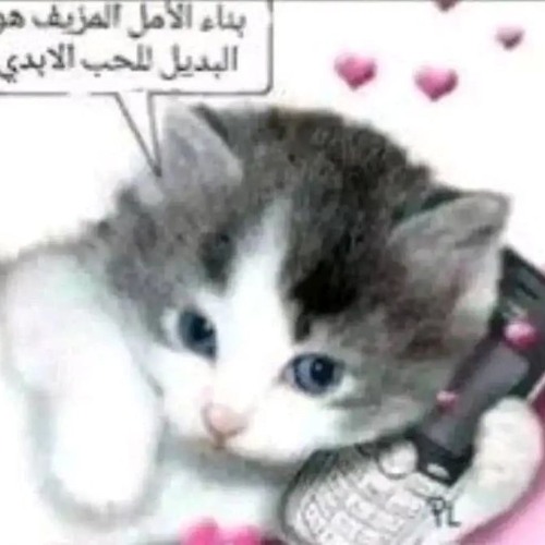 romantic (w/ losingjah)