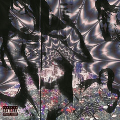 Pink sluts! (Prod. BVTTER)