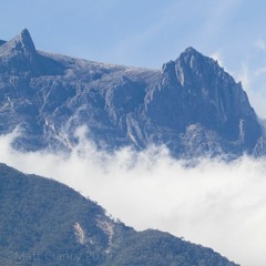 Unidentified Limnonectes, Mount Kinabalu, Borneo