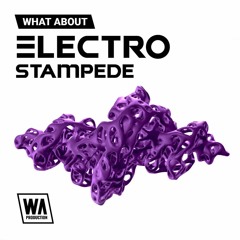 STMPD Style EDM Drums, Melodies & Kits | Electro Stampede