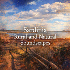 Birds Chirping, Sardinia with Light Wind