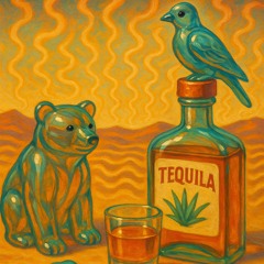 Heat Waves vs Tequila - Glass Animals x Dan + Shay (MATTARACK Mashup short edit)