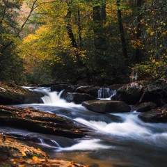 Bubbling Stream Sound [Binaural Recording]