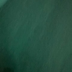 Pxrge Trxxxper - PsYcHoPaSS (feat. X 1ark) (snippet)