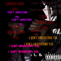 I DON'T UNDERSTAND YOU.