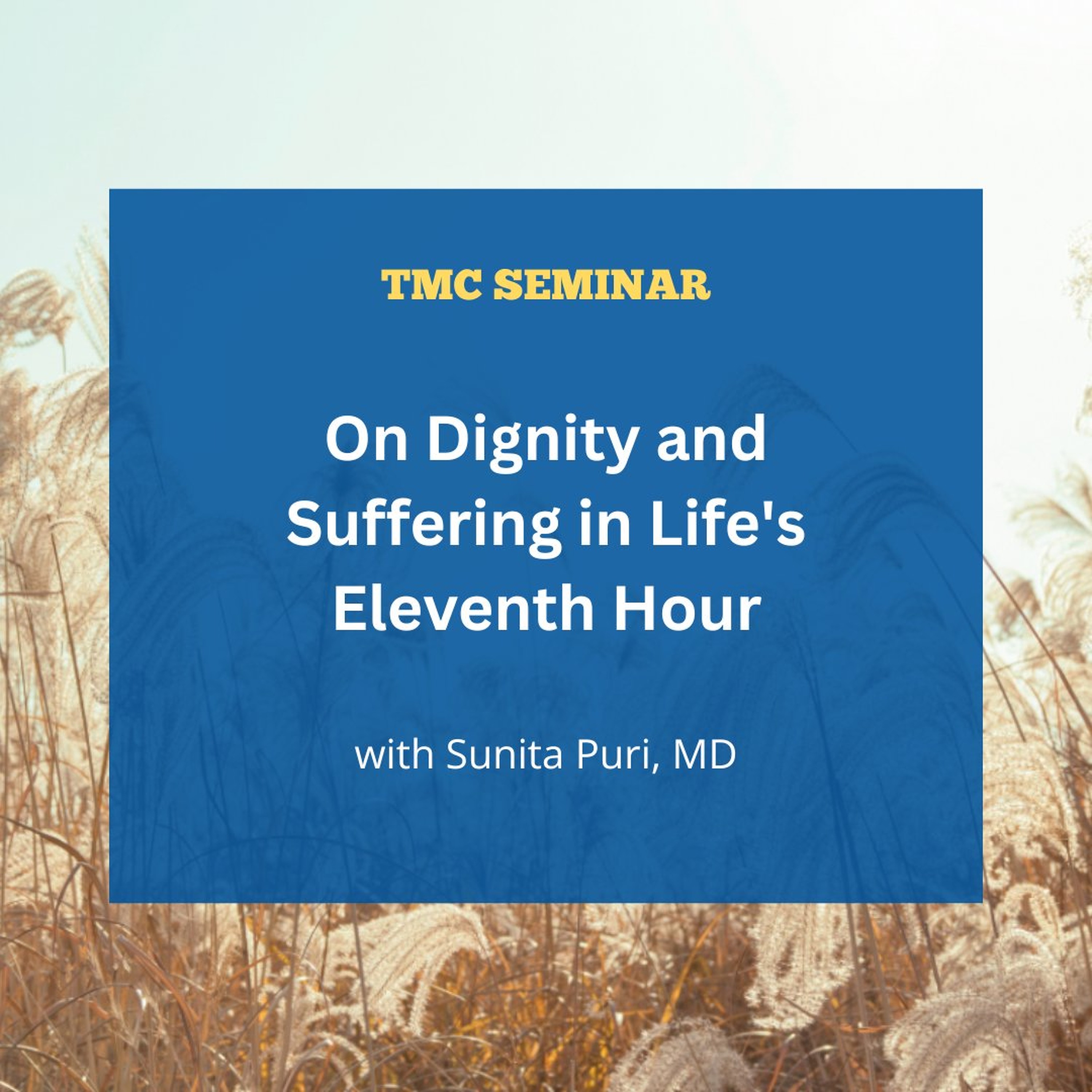 "On Dignity and Suffering in Life's Eleventh Hour" with Sunita Puri, MD episode artwork