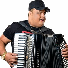 TARCÍSIO DO ACORDEON 2024