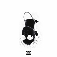 FALL DOWN [prod. alpha bellum]