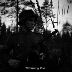 Schütze - Mourning Soul (Absurd Cover)