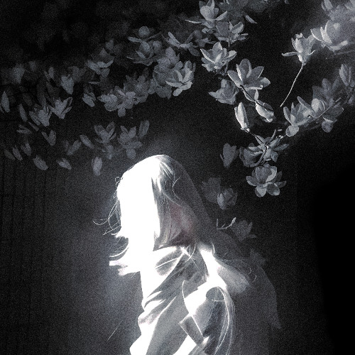 dissolve (prod. vxbrxnt)