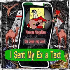 I Sent My Ex a Text