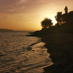 RandomRecords Collab - Bodrum