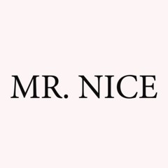 MR NICE BBQ